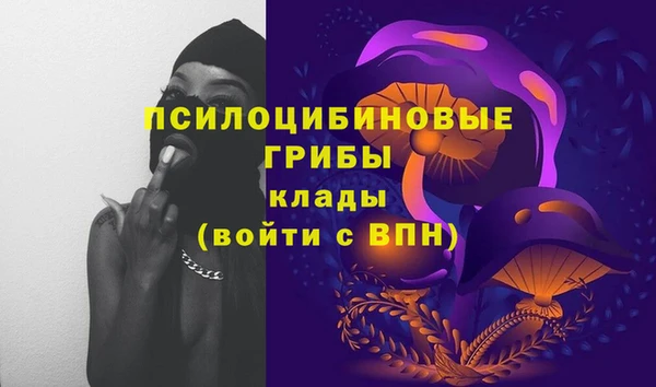 СК Алексеевка