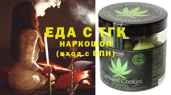 хмурый Алексин
