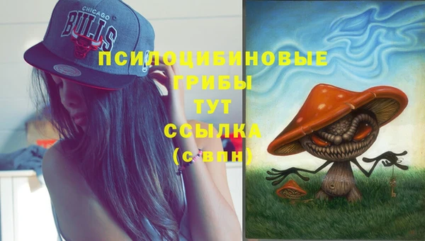 хмурый Алексин