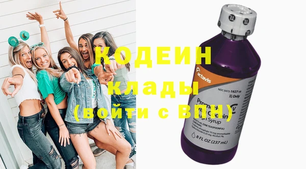 хмурый Алексин