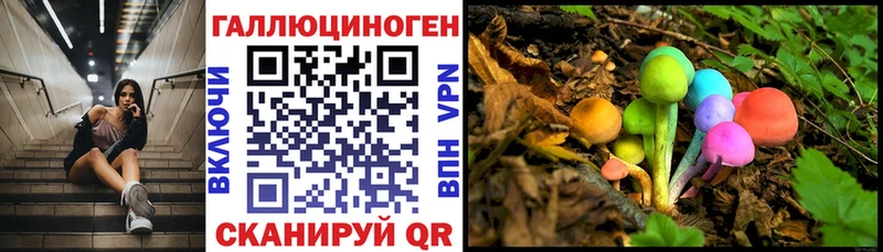 цены наркотик  Снежногорск  Псилоцибиновые грибы GOLDEN TEACHER 